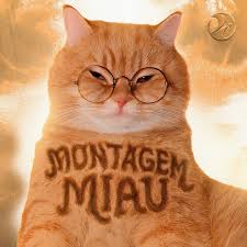 Montagem Miau by Lenar (Easy) Drumset Sheet Music